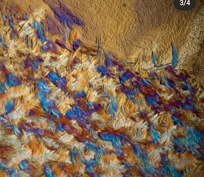 водка под микроскопом почему так выглядит. Смотреть фото водка под микроскопом почему так выглядит. Смотреть картинку водка под микроскопом почему так выглядит. Картинка про водка под микроскопом почему так выглядит. Фото водка под микроскопом почему так выглядит водка под микроскопом почему так выглядит. Смотреть фото водка под микроскопом почему так выглядит. Смотреть картинку водка под микроскопом почему так выглядит. Картинка про водка под микроскопом почему так выглядит. Фото водка под микроскопом почему так выглядит