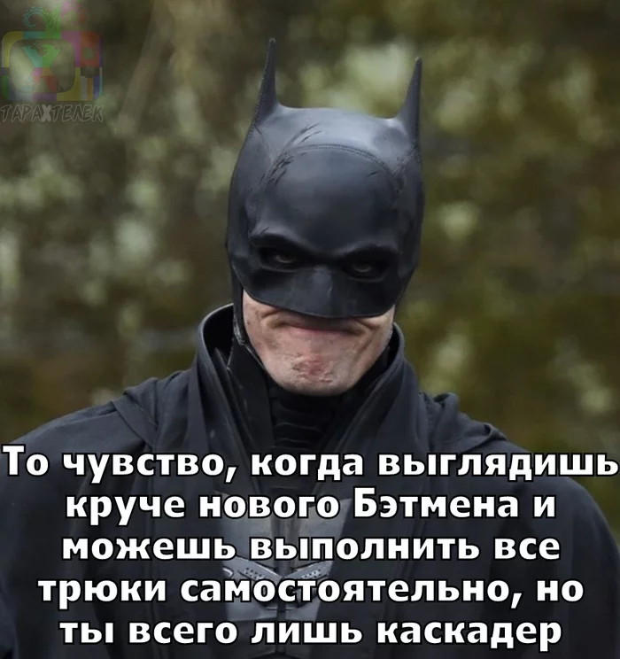 Bat-injustice! - Picture with text, Batman, Stuntman, Humor