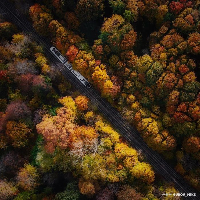 Tram in Sokolniki as a separate form of art - The photo, Autumn, Tram, beauty