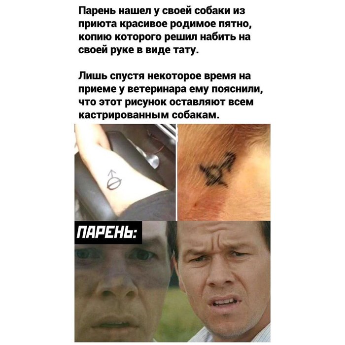 ������� �����