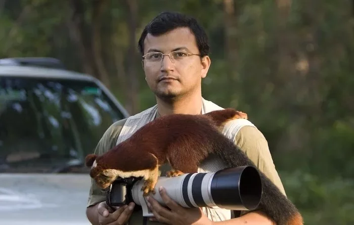 Giant Squirrel: This is not our little thing from the park! A rodent the size of a cat has surpassed all its relatives in size - Animals, Yandex Zen, Longpost, India, Squirrel, Indian Giant Squirrel