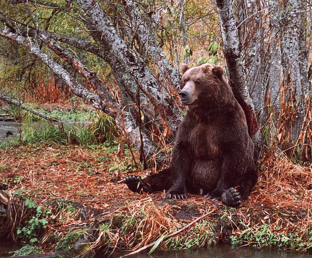 ������ ���������!