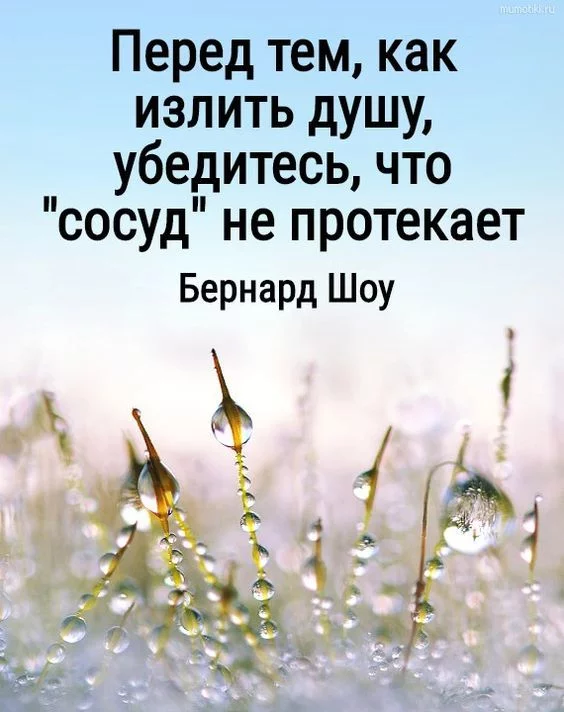 Прежде, чем открыть душу, убедитесь, что сосуд не протекает - Моё, Коллектив, Работа, Болезнь, Пьянка, Юмор, Провокация, Информатор, Крыса