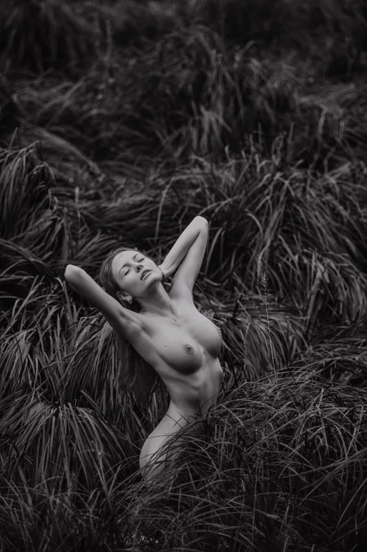 In the sedge - NSFW, Erotic, Girls, Boobs, Black and white, Sedge