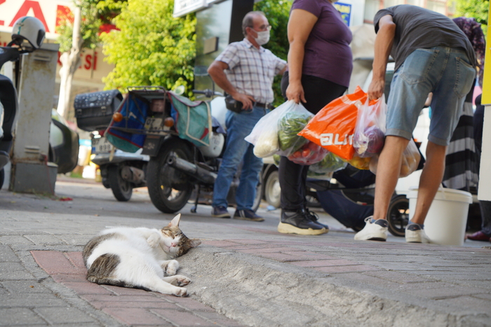 � ����� ���� ��� ��������