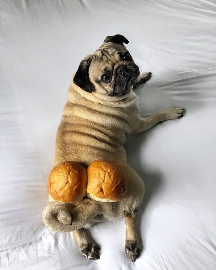  , , , ,  