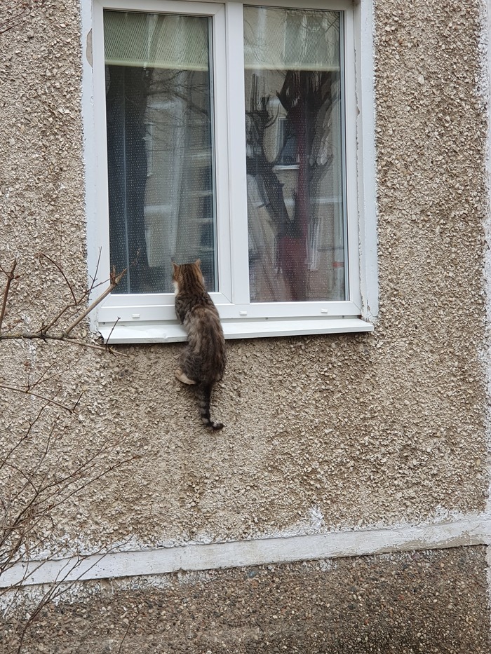 �� �������� :)