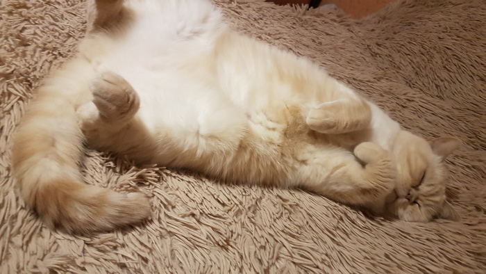 Всем привет, я Пудра))