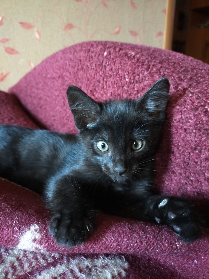 �����������, ��� ����