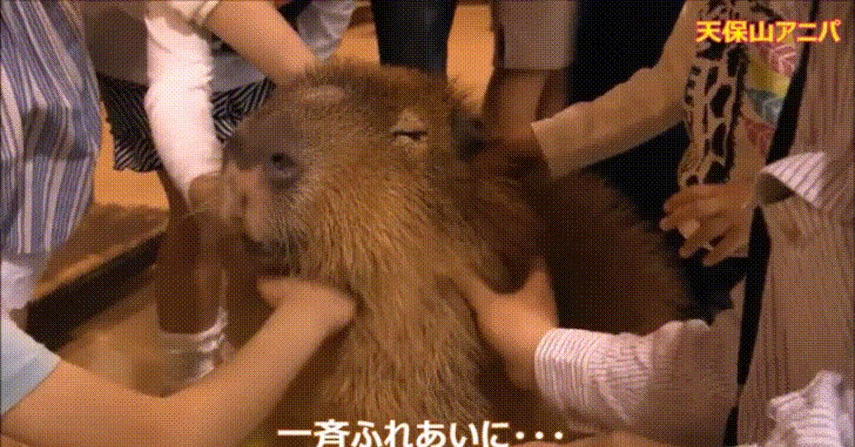 Just a capybara who knows Zen - Capybara, Funny animals, GIF