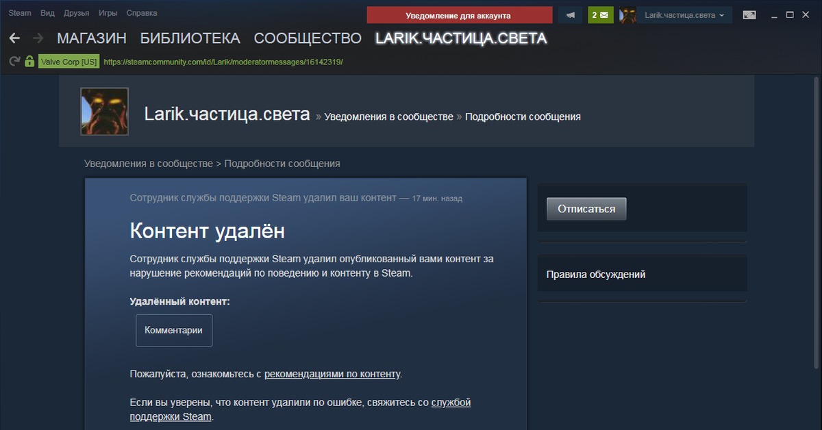 Подробности на сайте службы поддержки steam. Стим хозяин. Стим заблокировали в России. Скрытый аккаунт в стиме. Скриншот в техподдержку стим.