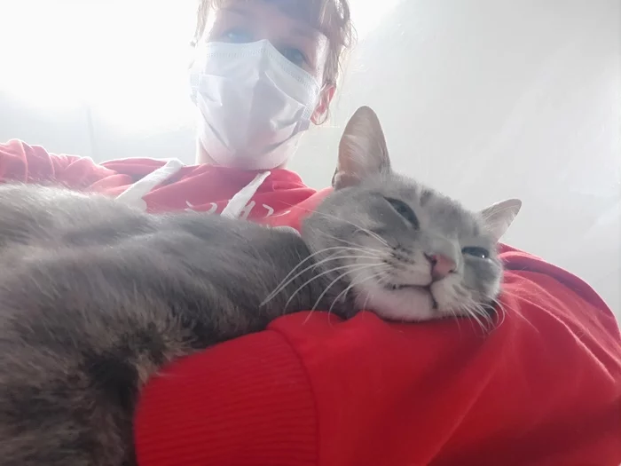 Devoted Heart - Longpost, Shelter, Animal shelter, cat, Saint Petersburg, My