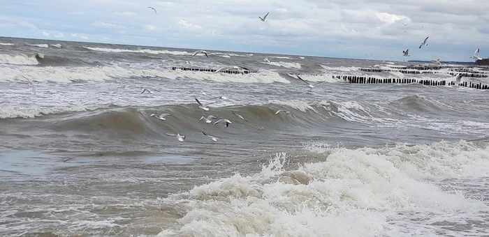 Baltic Sea in autumn - My, Travels, Baltic Sea, Nature, Longpost