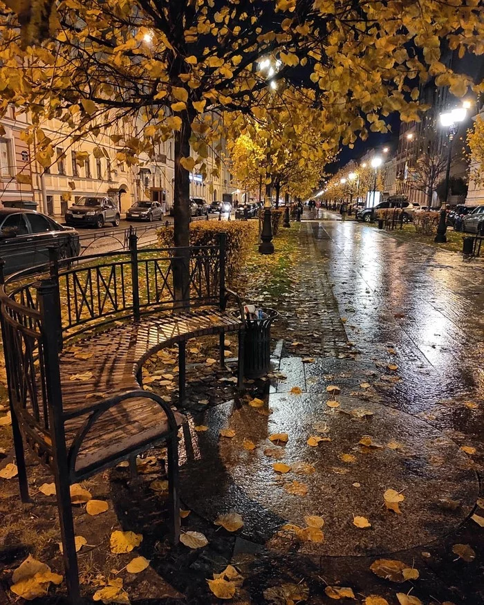 October evening on Furshtatskaya - Saint Petersburg, October, The photo, Dampness, Chilly, Autumn leaves, Autumn