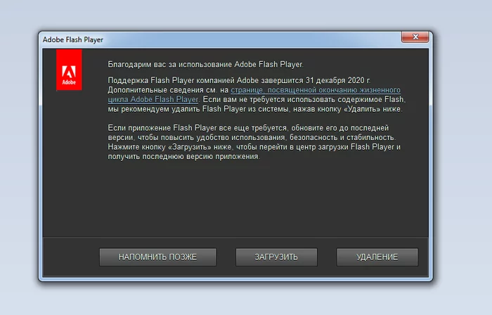 No, they definitely know something - Adobe flash player, 2020, 2021, End of the world, Conspiracy