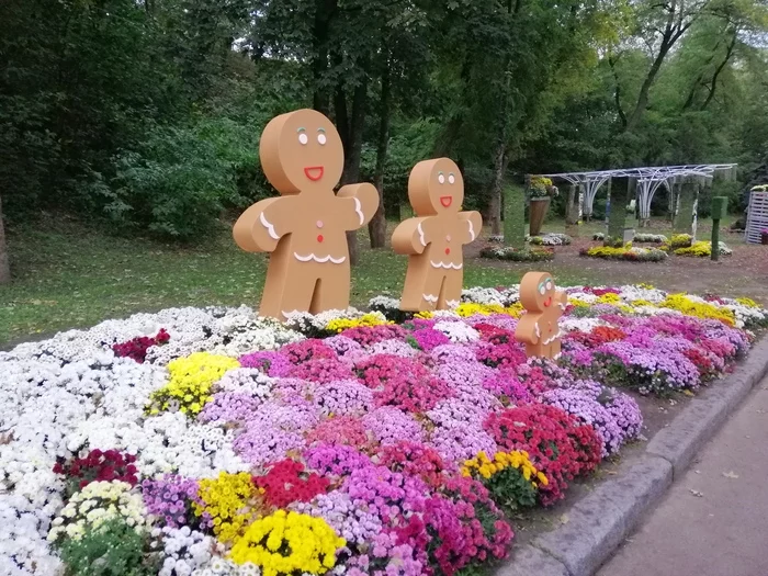 Chrysanthemum exhibition - My, Kiev, Flowers, Chrysanthemums, Autumn, Exhibition, Longpost