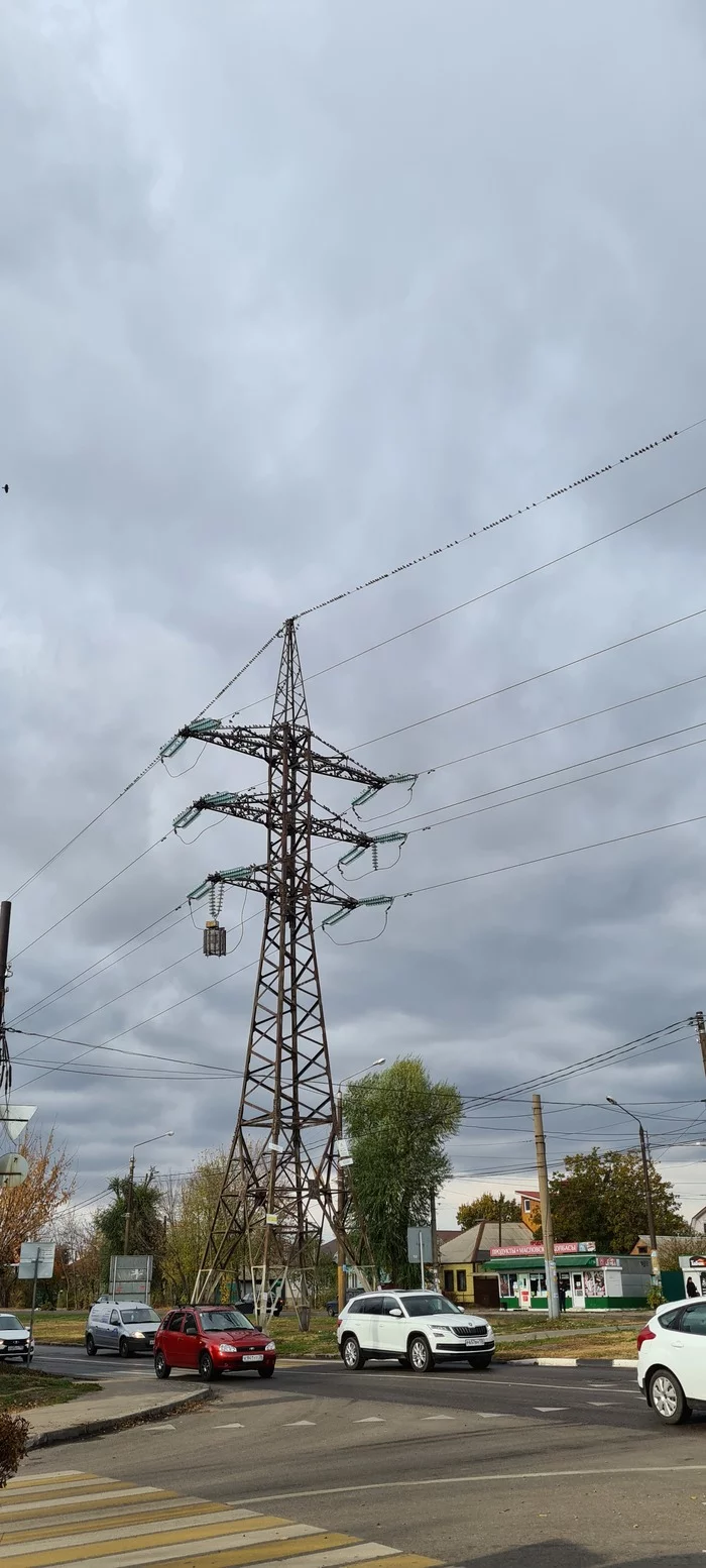 Bioenergy - My, High Voltage Electricity, Birds, Longpost