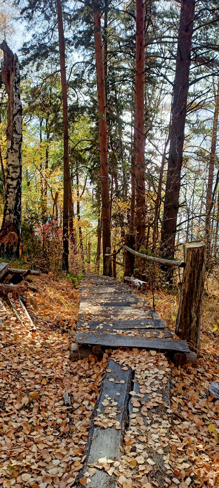 �����,�����, �����