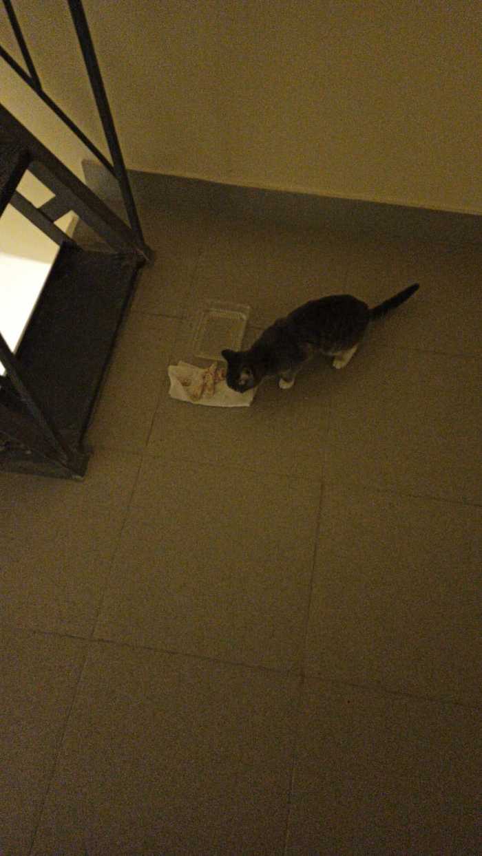     ,   , , ,  , , 