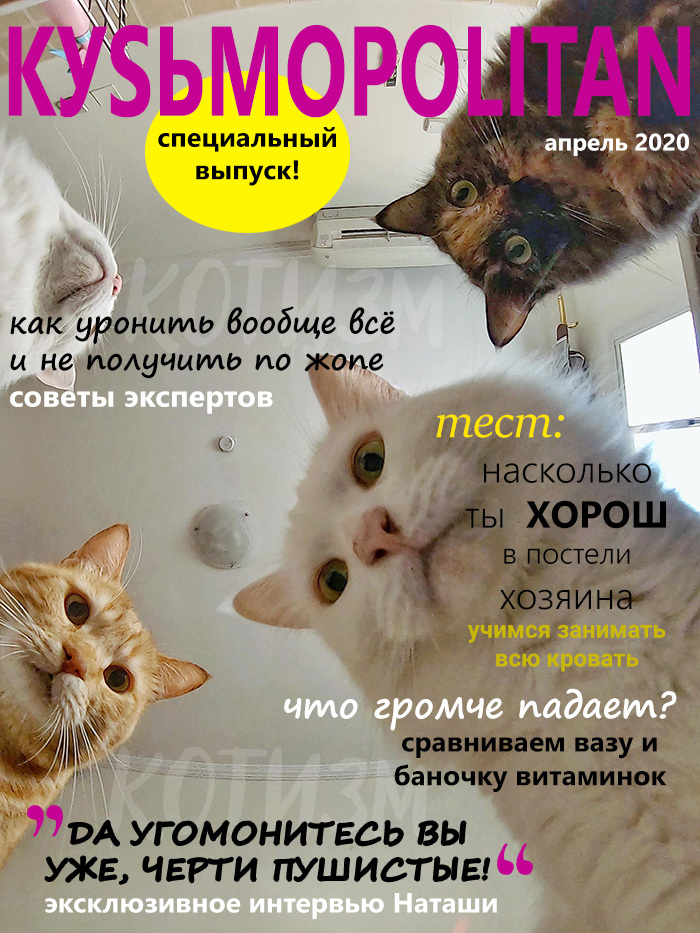 Хозяин И Мурзик Новые Серии 2022 Года
