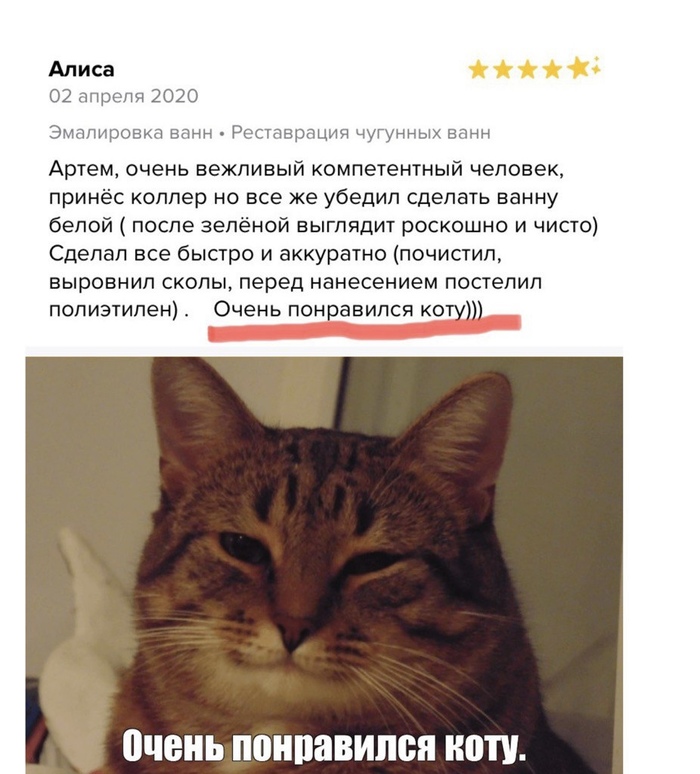   profi.ru