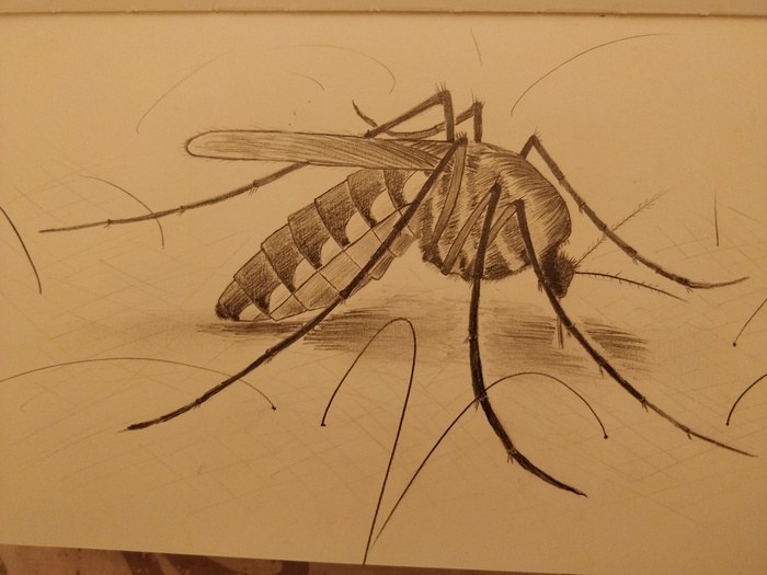 ��� ���������. ������ 2