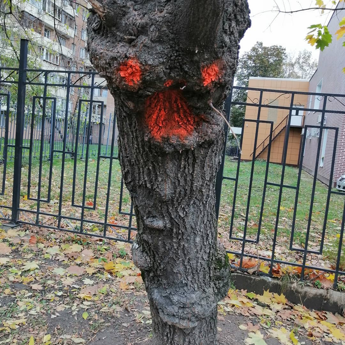 Ужасы нашего городка