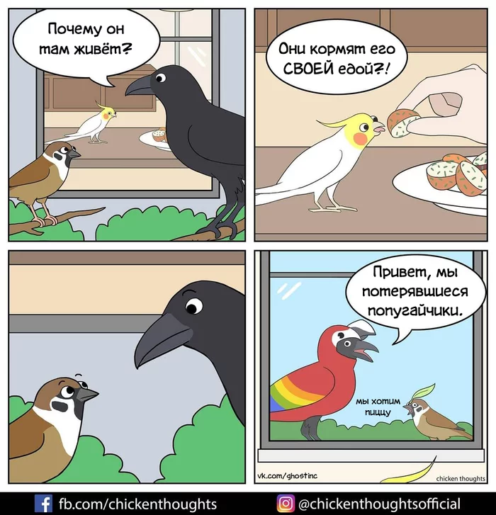 Lost parrots - Comics, Translated by myself, Chicken thoughts, Birds