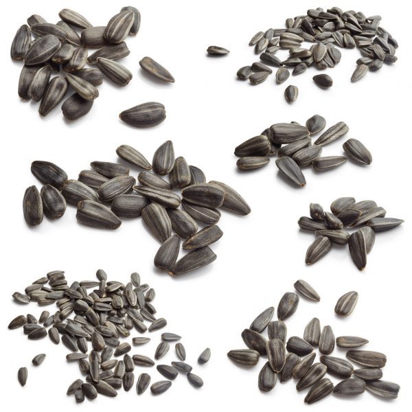 ����� �� ���� ��������������