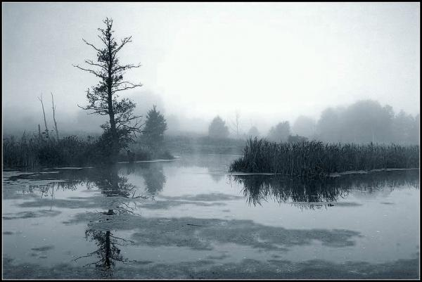 strange lake - My, Nature, Travel across Russia, Longpost