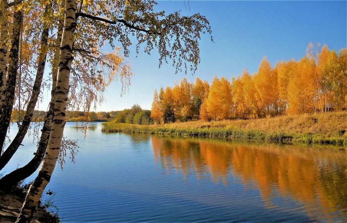 ������ �������� �����