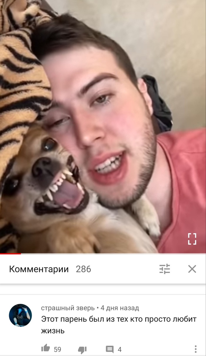  ,    ,  ,  , , , , 