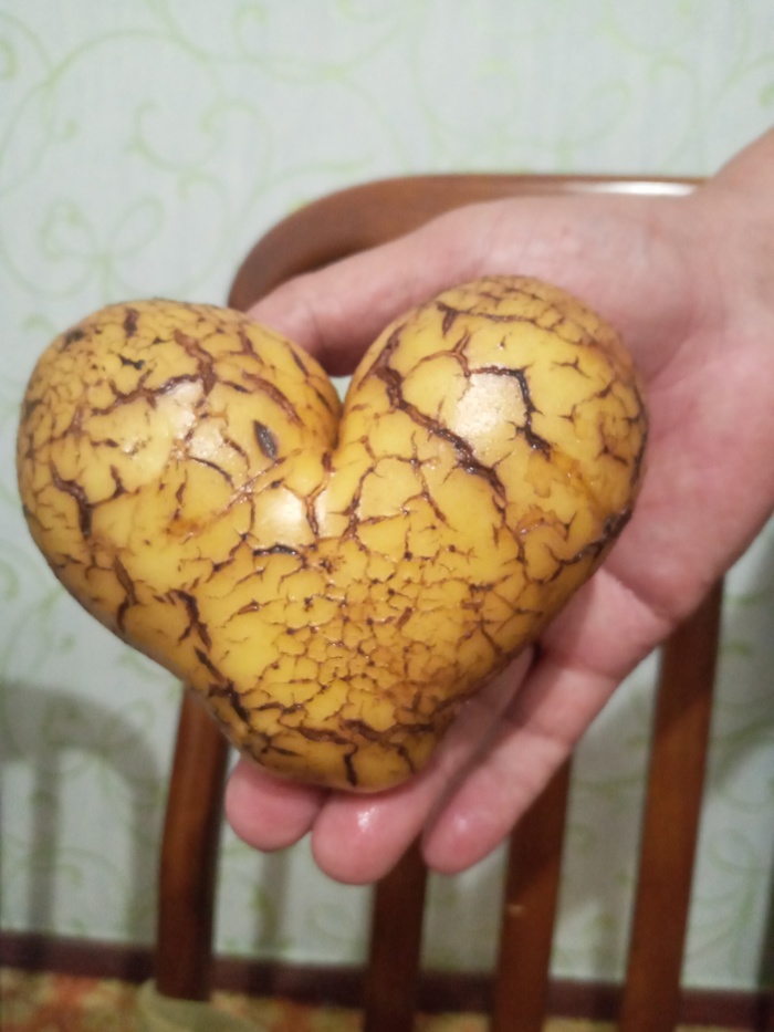 картошка в форме сердца