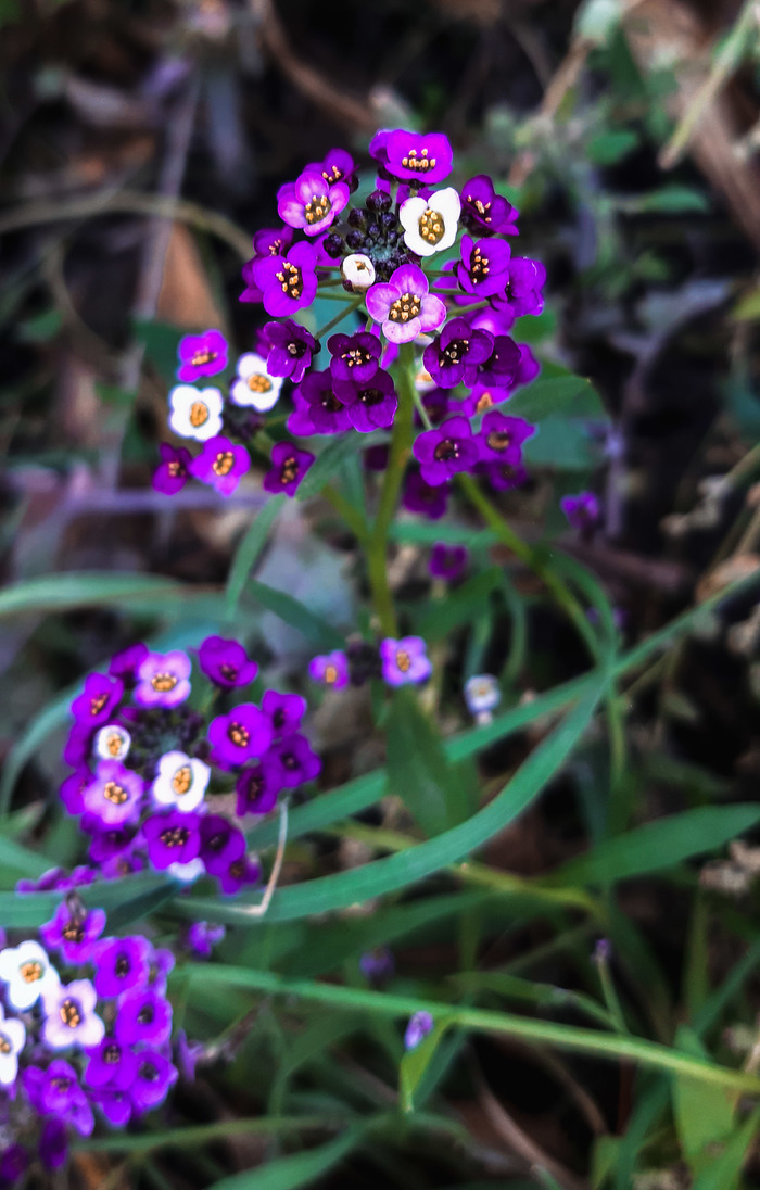 ���������� � �������