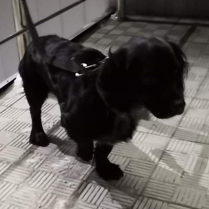 Тузя и бабушка