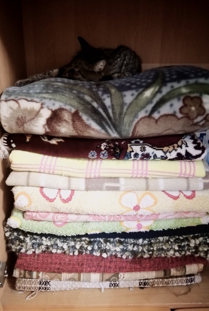 ... на горошине