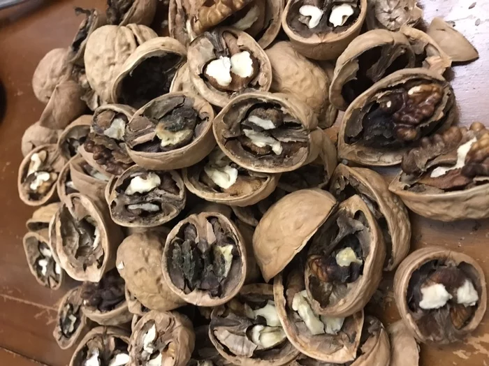 Left bank, definitely left - My, Market, Purchase, Walnuts