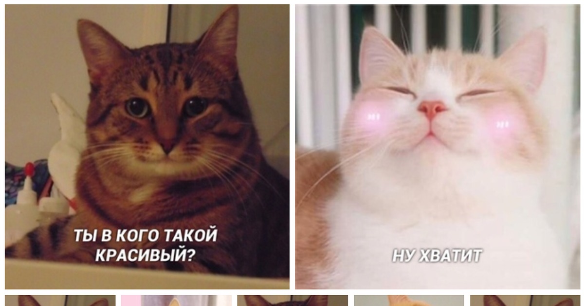 Добрый Кот Мем
