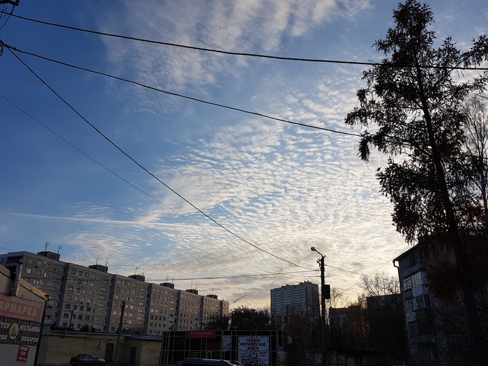 ��� �������