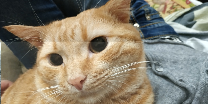 ������ ����� ���������?