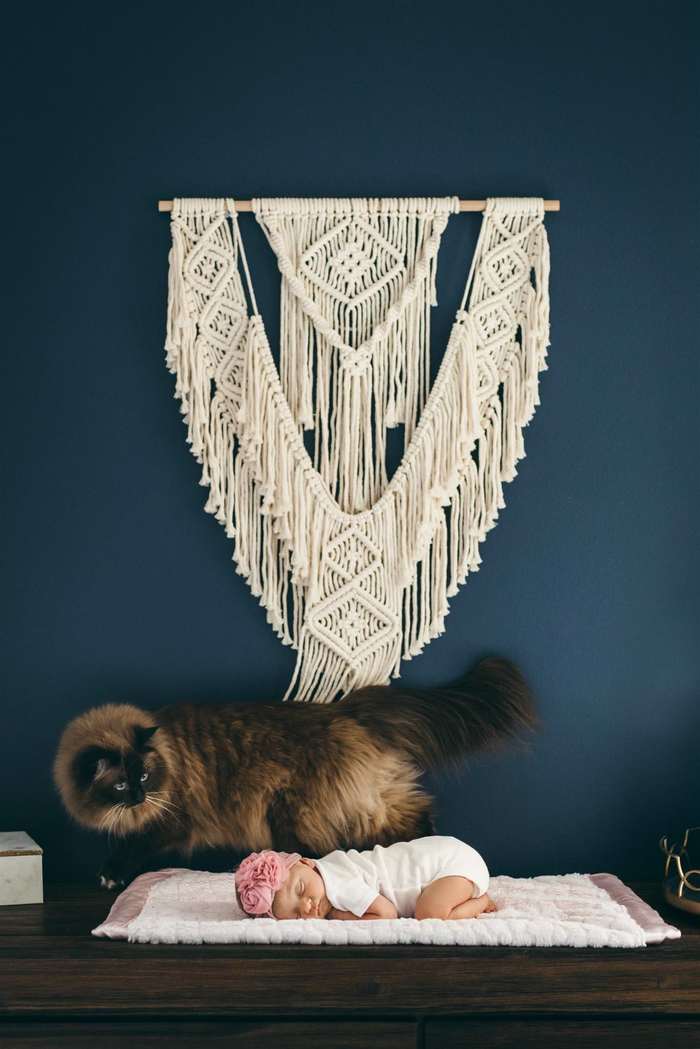 Who is this? - cat, Milota, Guys, Babies, Macrame, The photo