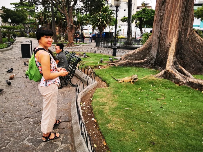 Latin American Checkmark - Guayaquil(24-26.10.2019) - My, South America, Travels, Budget travel, Tourism, Longpost, Video, Series Latin American Tick 20192020