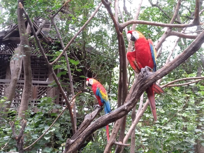 Latin American Checkmark - Guayaquil(24-26.10.2019) - My, South America, Travels, Budget travel, Tourism, Longpost, Video, Series Latin American Tick 20192020