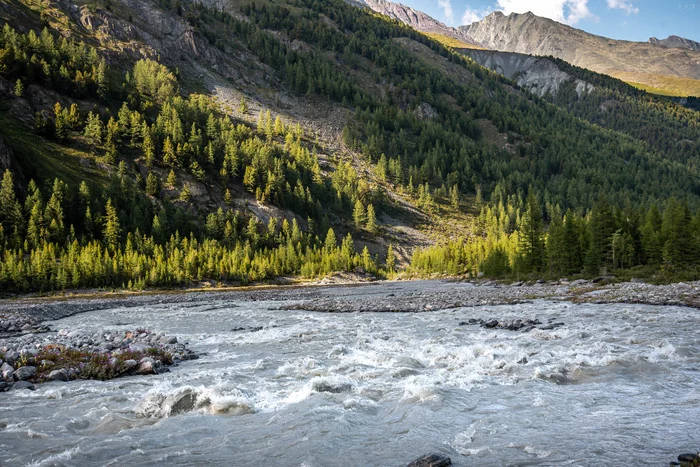 Rivers of Altai - My, The photo, Nature, The nature of Russia, Altai Republic, Tourism, Travels, beauty of nature, River, Longpost