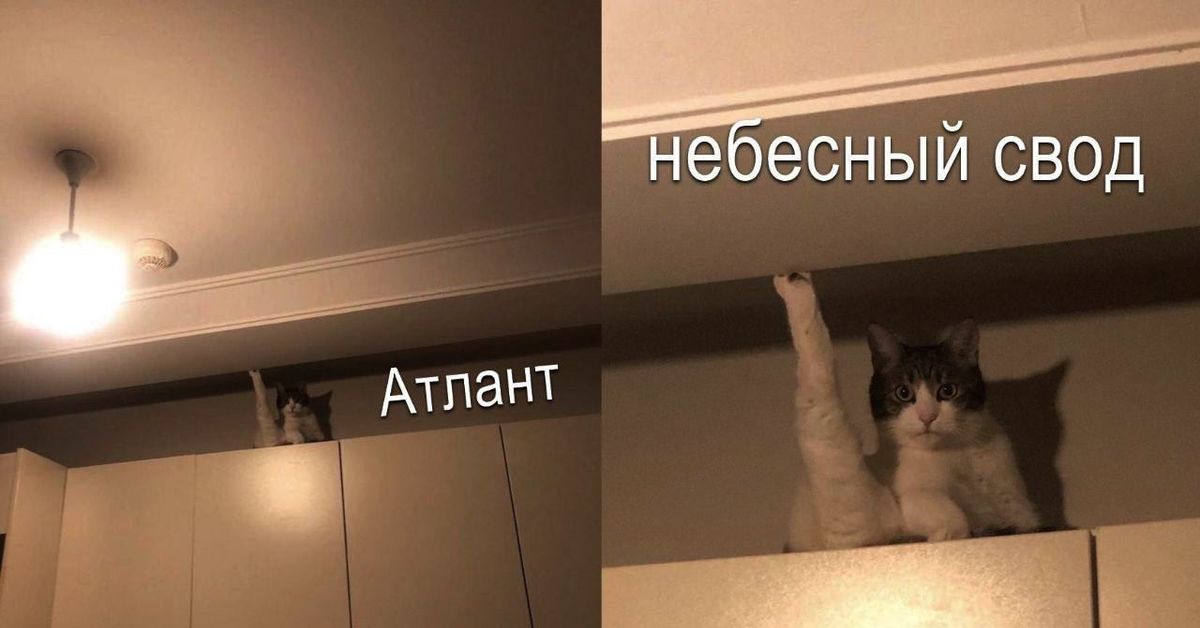Заходишь На Кухню А Там Эти Картинка