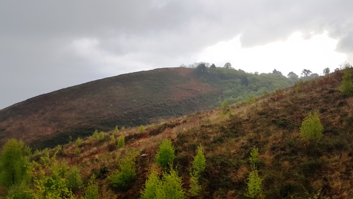Попытка побега, дождь и боль. Борщ из пакета и другие радости Камино Путешествия, Камино, Пеший туризм, Длиннопост