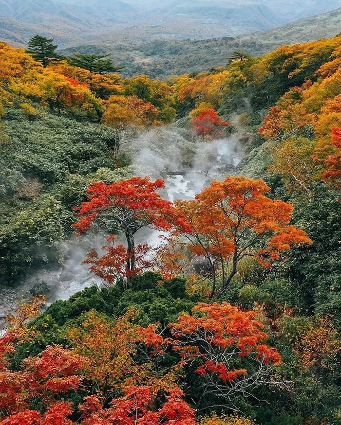 Iturup, Kuril Islands - The photo, Russia, Iturup, Island, Nature, Kurile Islands, Autumn, Longpost, The nature of Russia, beauty of nature, Autumn leaves