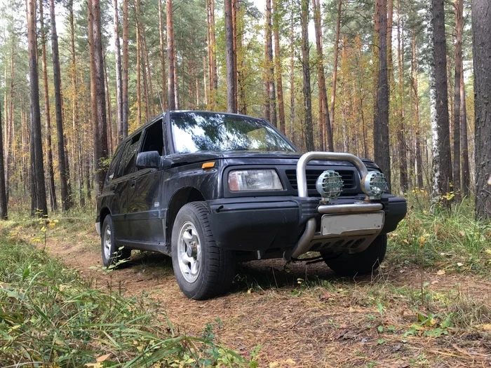 Autumn forest - My, Autumn, Forest, Pinery, Auto, The photo, Mobile photography, Nature, Suzuki, Suzuki Grand Vitara