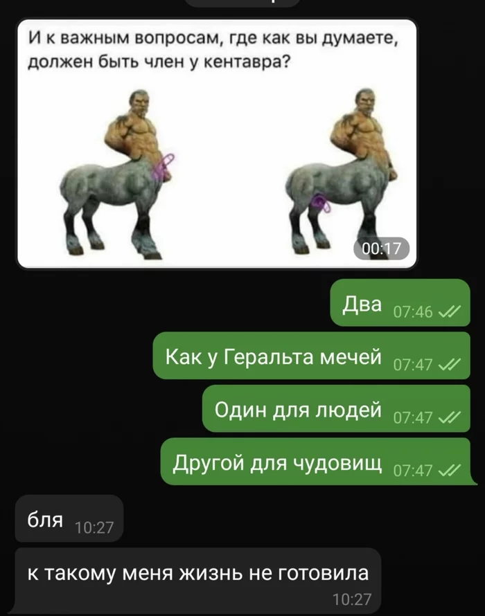 Новый поворот - NSFW, Ведьмак, Кентавр, Переписка