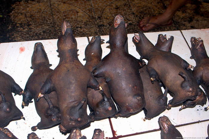 самая экстремальная еда в мире. Смотреть фото самая экстремальная еда в мире. Смотреть картинку самая экстремальная еда в мире. Картинка про самая экстремальная еда в мире. Фото самая экстремальная еда в мире самая экстремальная еда в мире. Смотреть фото самая экстремальная еда в мире. Смотреть картинку самая экстремальная еда в мире. Картинка про самая экстремальная еда в мире. Фото самая экстремальная еда в мире